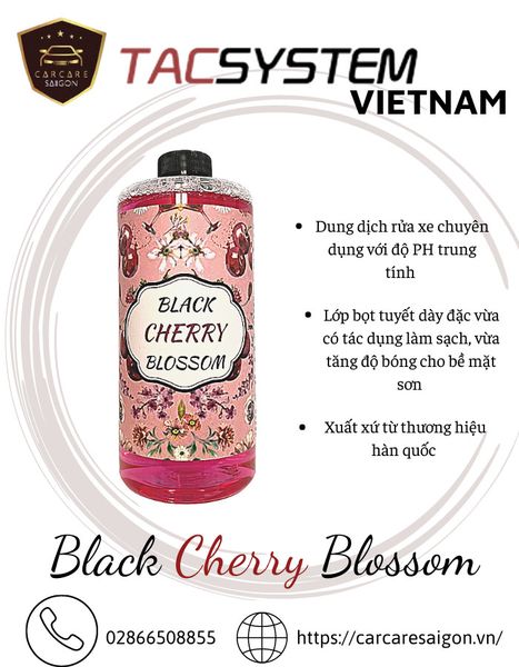 BLACK CHERRY BLOSSOM