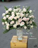  Thiệp Hồng - HCB43 - Điện Hoa 
