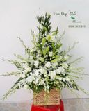  Giỏ Hoa Tươi Khoảng Lặng - GHV12 