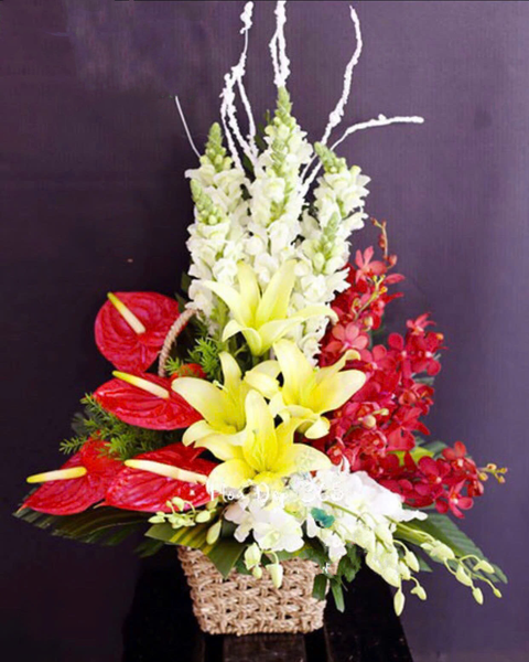 Giỏ Hoa Sắc Màu