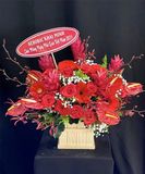  Hộp Hoa Feeling - HCH07 