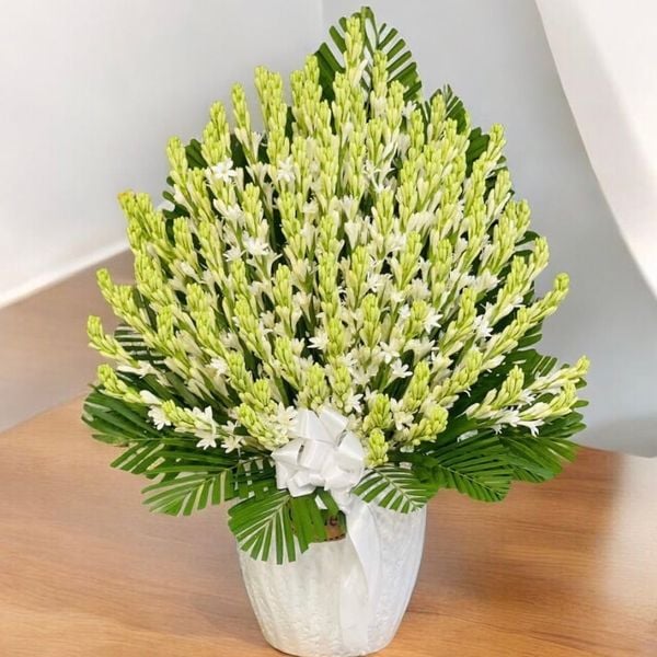 Bình Hoa Huệ Trắng - HCB70