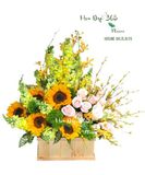  Nắng Lên - HCH65 