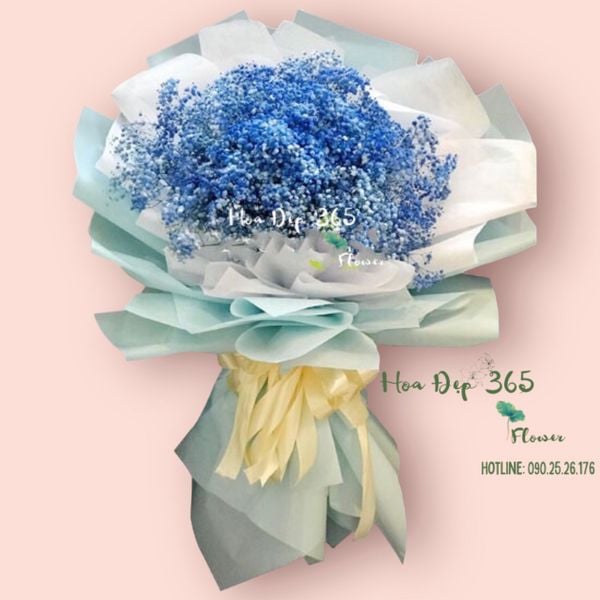 bien-rong-hbt77-hoa-20-10