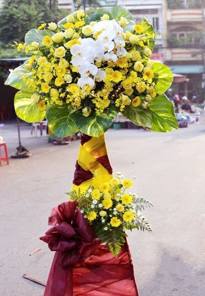 Kệ Hoa Tầm Cao Mới