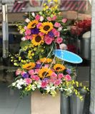  Hộp Hoa Ngày Mới Nắng Lên - HCH112 