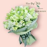  Bó Hoa Tươi Loa Kèn Trắng - HBT80 