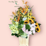  Hộp Hoa Morning Of Garden - HCH98 