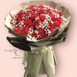  Red Carnation - HBT56 