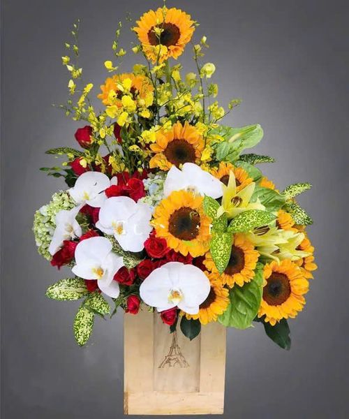 Hộp Hoa Hi Vọng - HCH45