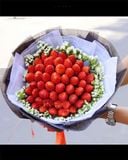  Bó Hoa Bé Dâu - TC08 