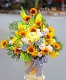  Ngày Nắng - HCH77 