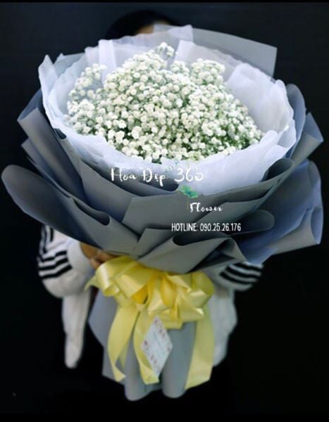 bo-baby-tinh-khiet-hbt26