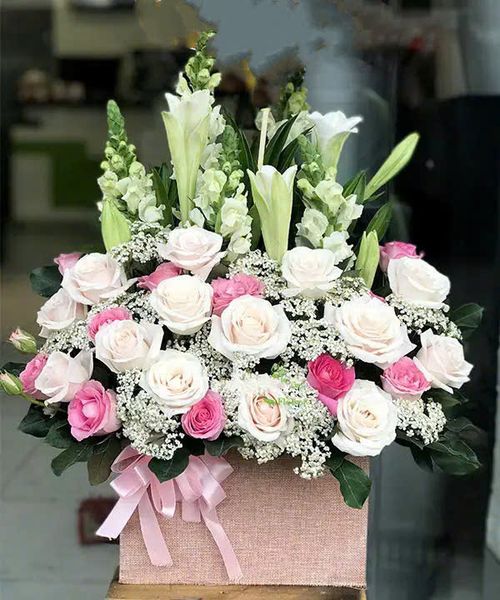 Hộp Hoa Khai Trương Để Bàn Hương Gió - HCH01