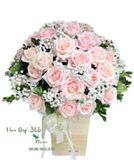  Hồng Thương - HCH53 - Hoa Hồng 20/10 - Hộp Hoa Hồng Pastel và Hoa Baby 