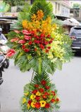  Kệ Hoa Phú Quý - HCM39 