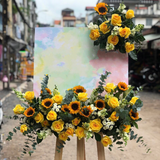  Kệ Hoa Vũ Điệu Rực Rỡ - TH08 