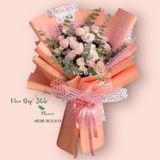  Hồng Hoa - HBD163 