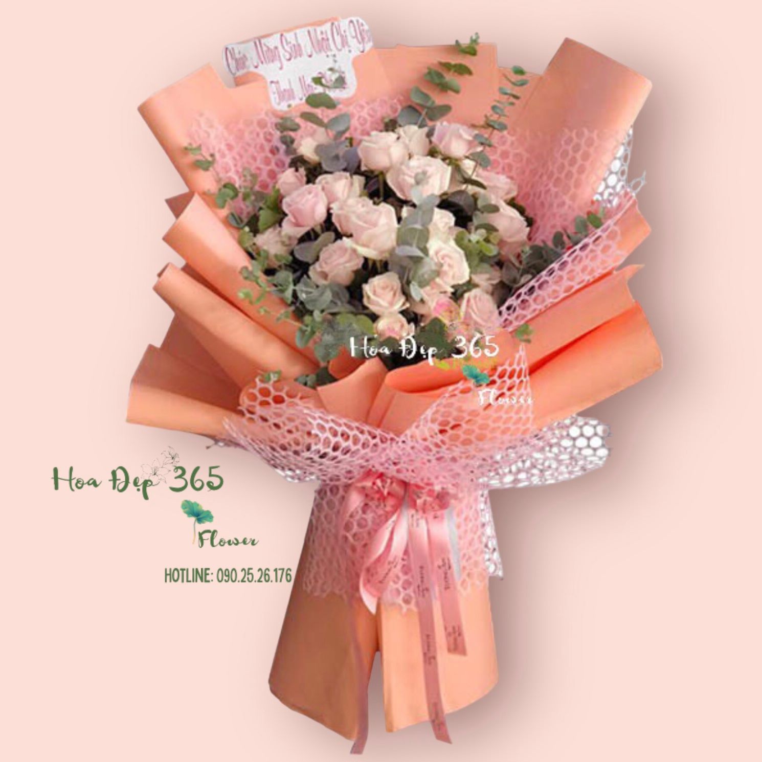  Hồng Hoa - HBD163 