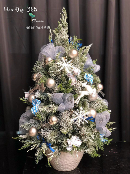  Cây Thông Noel Frosty - HGS03 - Hoa Noel 