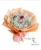  Mỗi Em - HBT74 - Hoa Hồng 20/10 