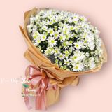  Bó Hoa Cúc Hoạ Mi Siêu To - HBT63 - Hoa Tươi 