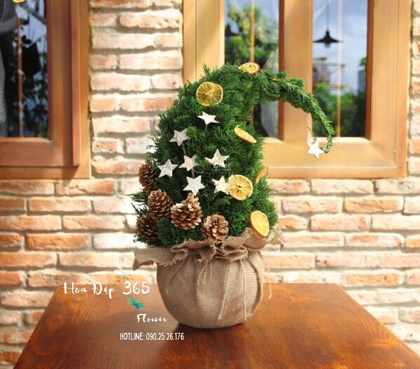 cay-thong-noel-frostbite-hgs07-giang-sinh-vui-ve