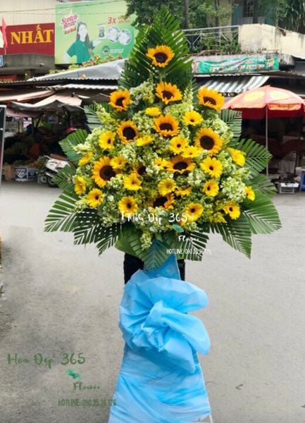 hoa chúc mừng khai giảng năm học mới