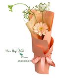 Bonjour - HBD67 - Bó hoa tươi 