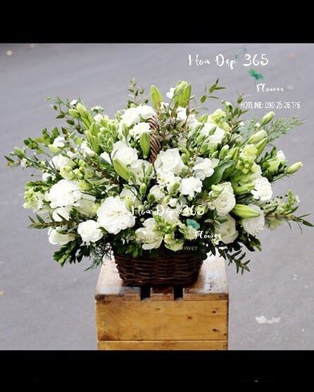 lẵng hoa khai giảng tặng thầy cô