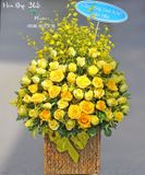  Nắng Hạ - HCH82 