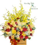  Sắc Màu Hạnh Phúc - HCH88 