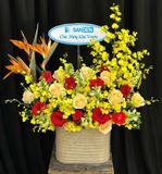  Hộp Hoa Nồng Nàn - HH04 