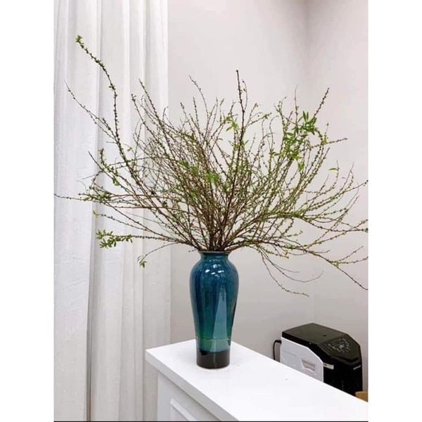 Bình Hoa Tuyết Mai