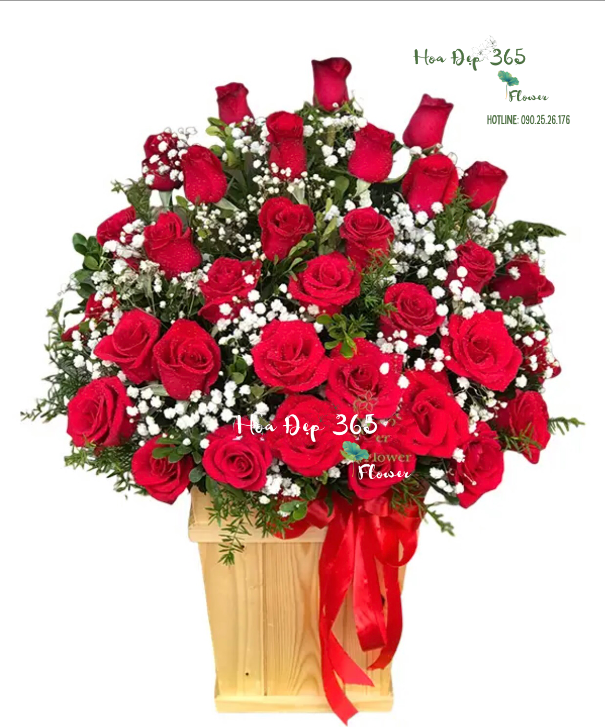  My Dear - HCH34 - Hoa Hồng 20/10 