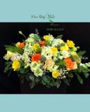  Hoa Để Bàn - Ovan 03 
