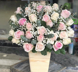  Vươn Lên - HCH49 - Hoa Sinh Nhật 