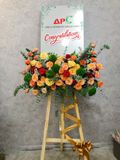 Kệ Hoa The Green Mix Red - GT43 