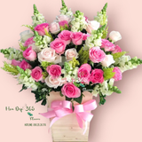  Celerbrate - HCH38 - Hoa Hồng 20/10 