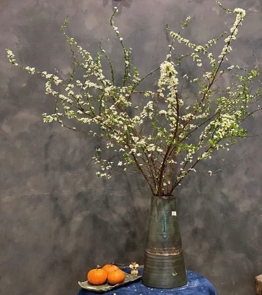 Bình Hoa Tuyết Mai