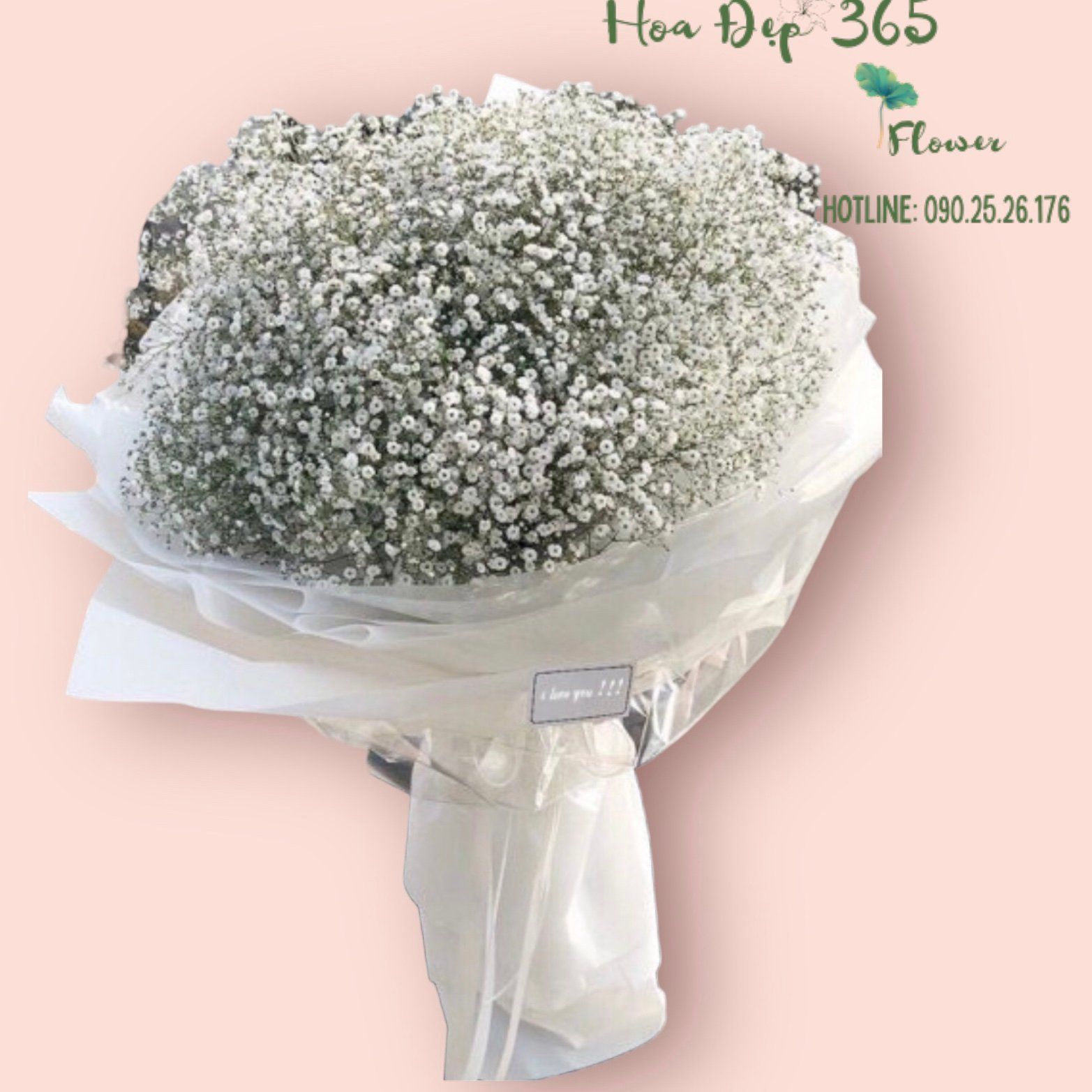  Baby's Breath - HBT25 - Hoa Sinh Nhật 