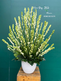  Bình Hoa Tươi Hoa Huệ Trắng - HCB64 