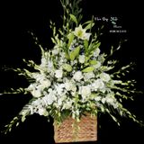  Giỏ Hoa Tươi Khoảng Lặng - GHV12 