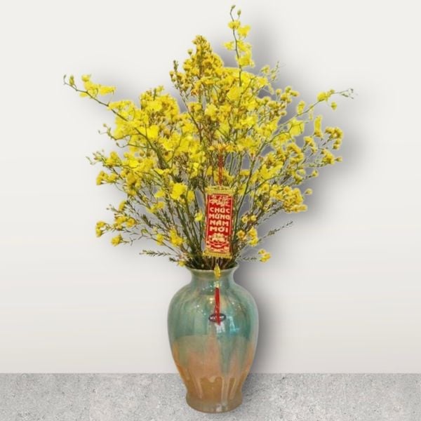 binh-thanh-lieu-mix-lan-vu-nu-hcb59