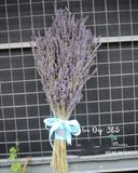  Bó Hoa Lavender Mộc Mạc - LVD04 