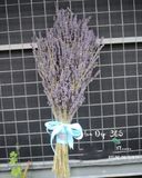  Bó Hoa Lavender Mộc Mạc - LVD04 - Điện Hoa 