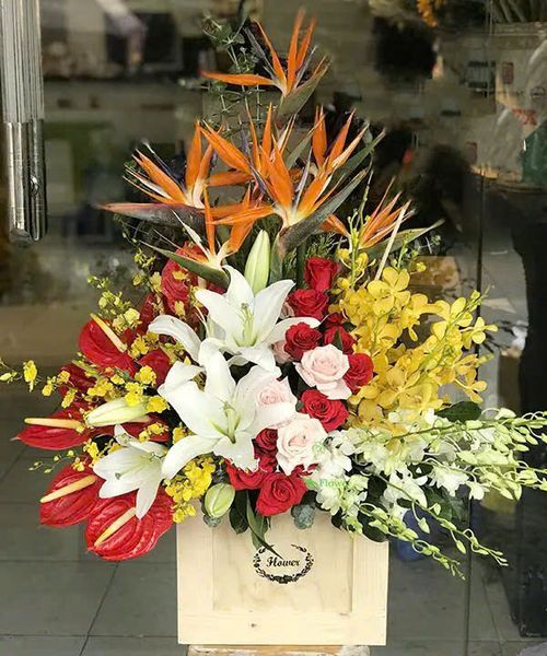 Hộp Hoa Light In The Morning