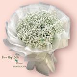  Tinh Khôi  - HBT67 - Hoa 20/10 