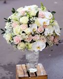  Bình Hoa Tinh Khôi - HCB15 