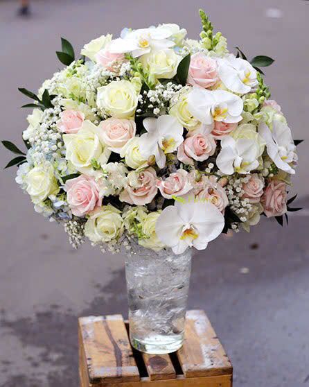  Bình Hoa Tinh Khôi - HCB15 